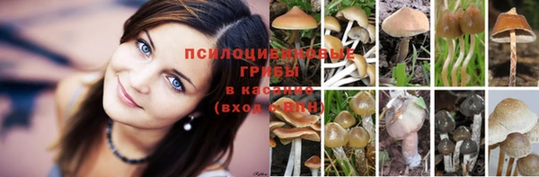 альфа пвп Ростов