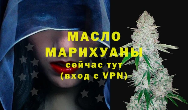мет Дмитров