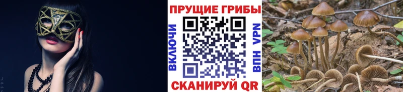 Галлюциногенные грибы прущие грибы Черемхово